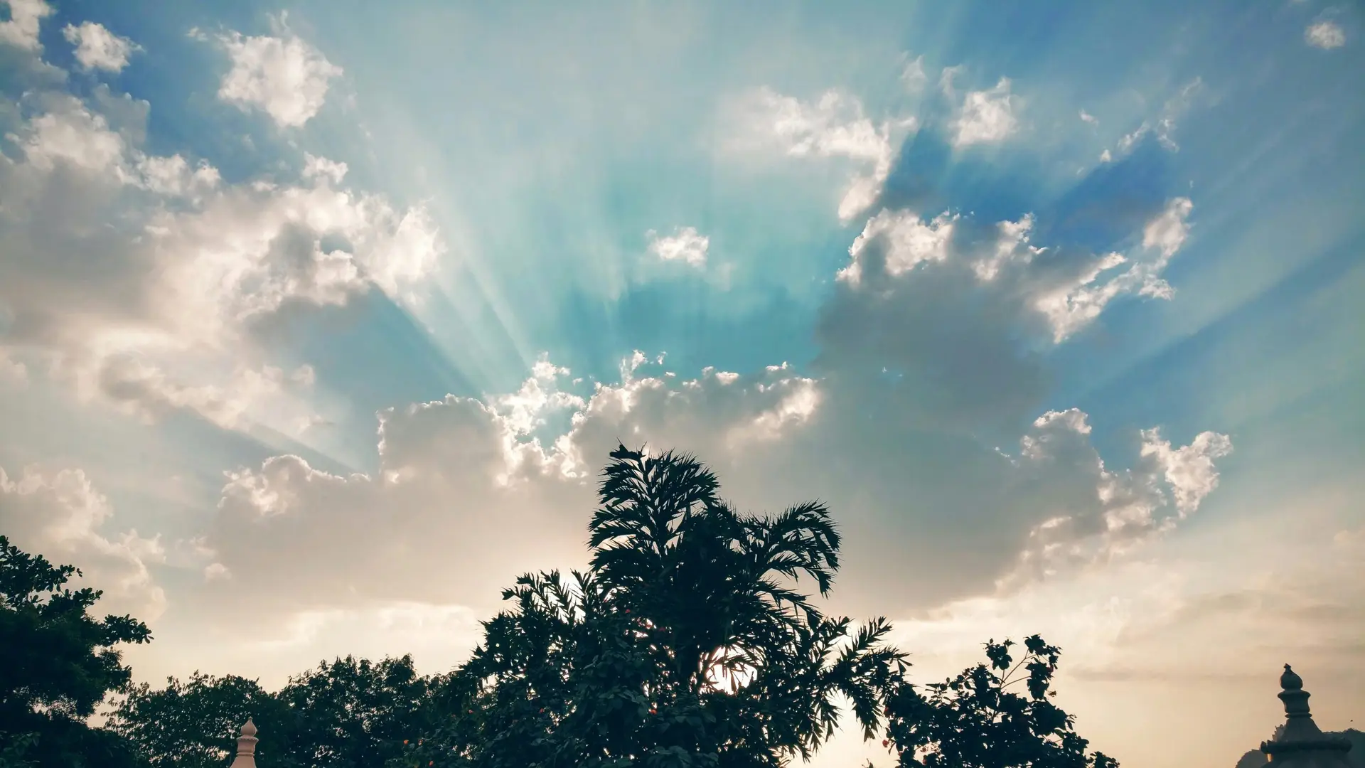 Beautiful sky with sunrays bursting through clouds over silhouetted trees.